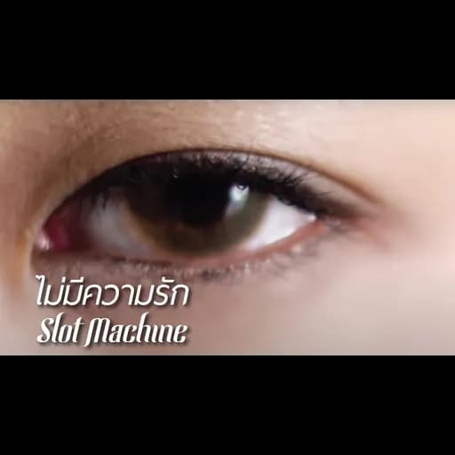 ไม่มีความรัก