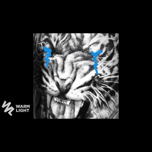 Tiger Cry Freestyle