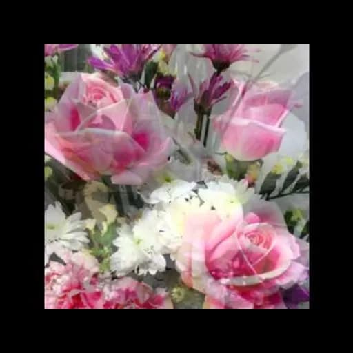 สายตาคู่นั้น
