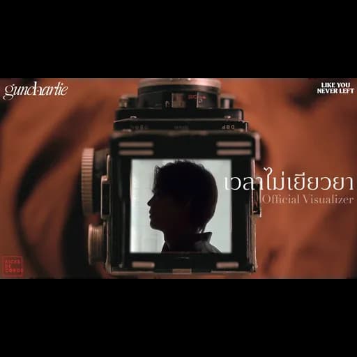 เวลาไม่เยียวยา
