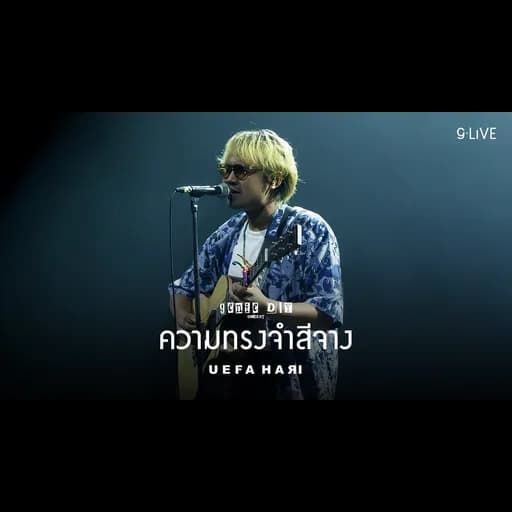 ความทรงจำสีจาง