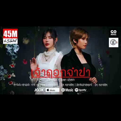 เจ้าดอกจำปา  ft. ตุ๊กตา นริศรา แปดแสนซาวด์