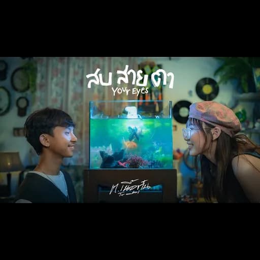 สบสายตา