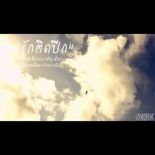 รักติดปีก
