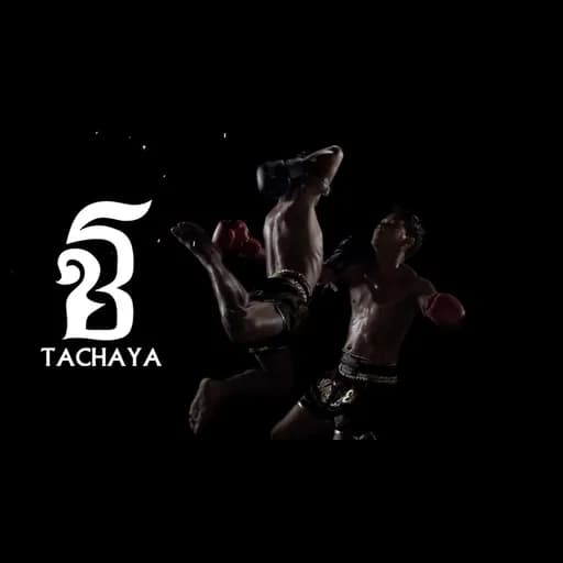 Amazing Muay Thai อะเมซิ่งมวยไทย