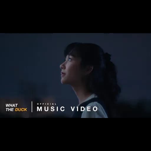 ดาวนำทาง (Quiet Night)