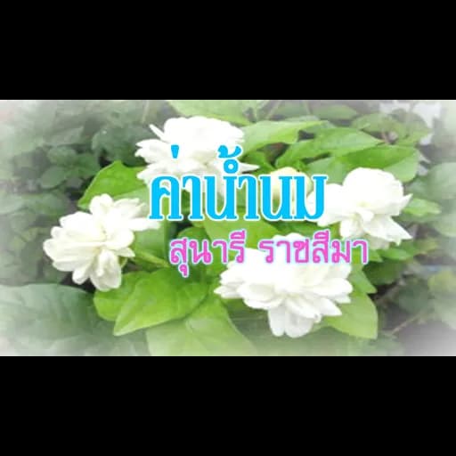 ค่าน้ำนม