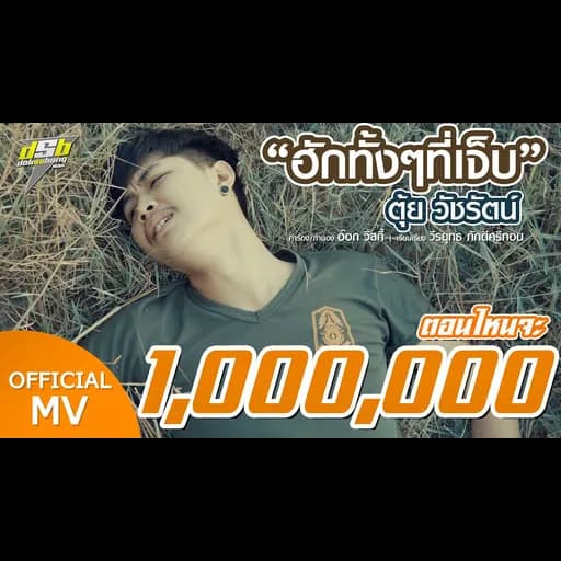 ฮักทั้งๆที่เจ็บ
