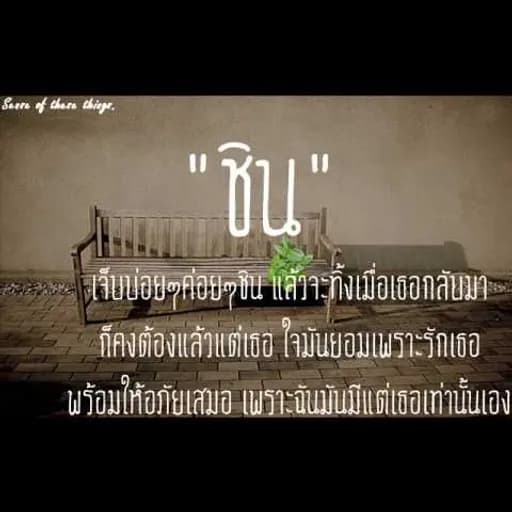 ชิน