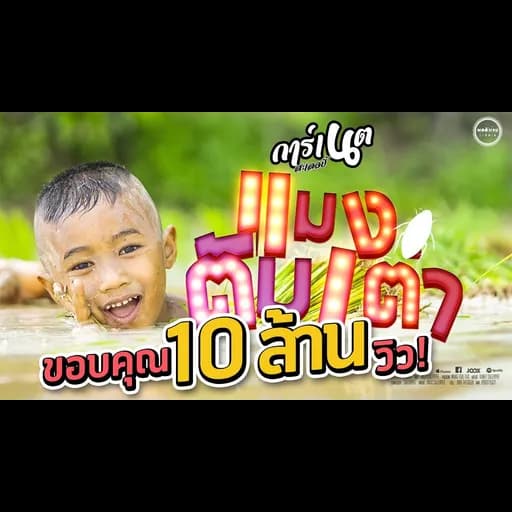 แมงตับเต่า