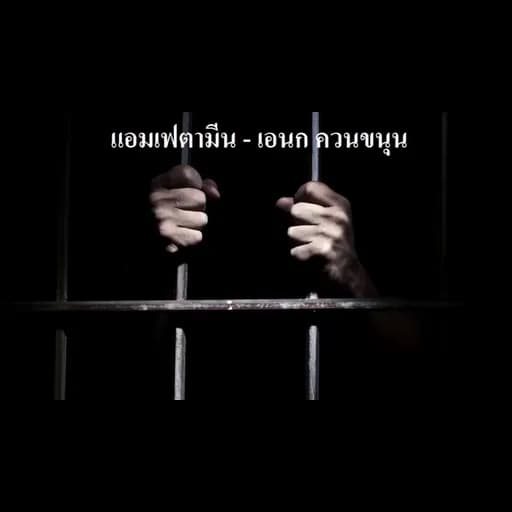 แอมเฟตามีน