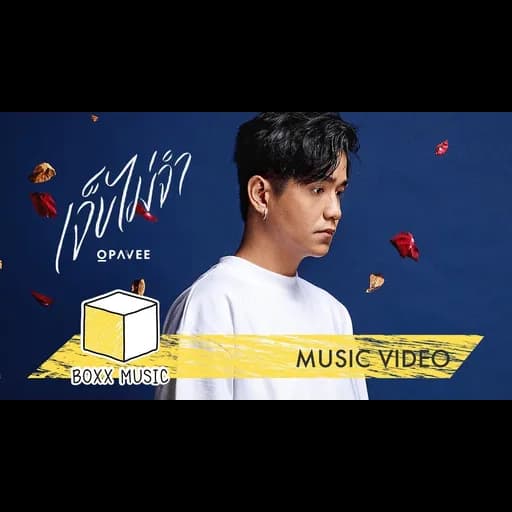 เจ็บไม่จำ