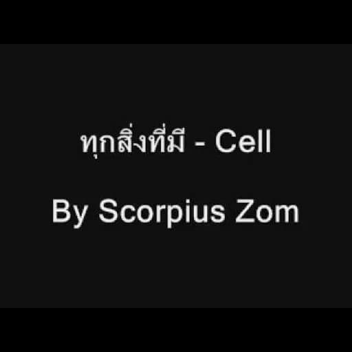 ทุกสิ่งที่มี