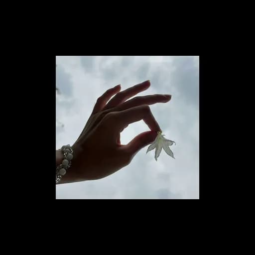 ผกา (Flower)