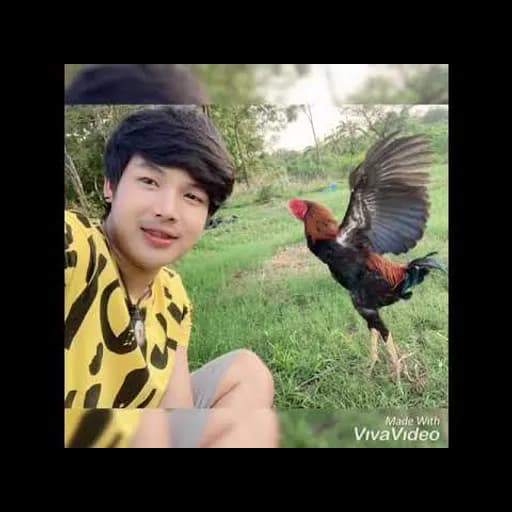 มนต์ฮักกาดน้ำไก่