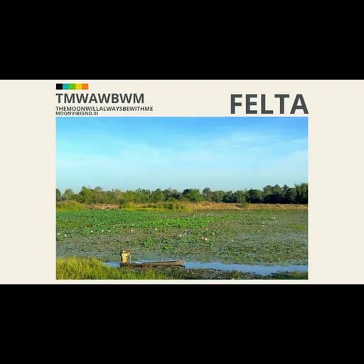 FELTA