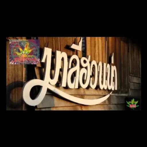 ออกเล