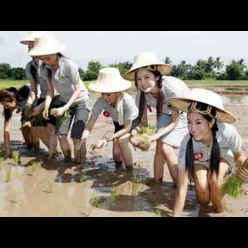 ตอกมัดใจ