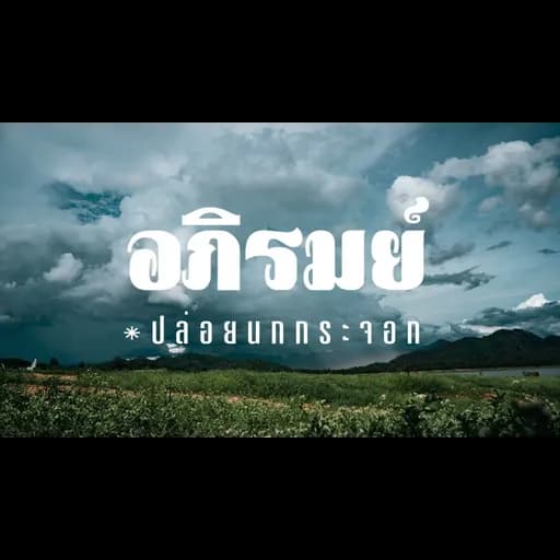 ปล่อยนกกระจอก