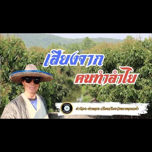 เสียงจากคนทำลำไย