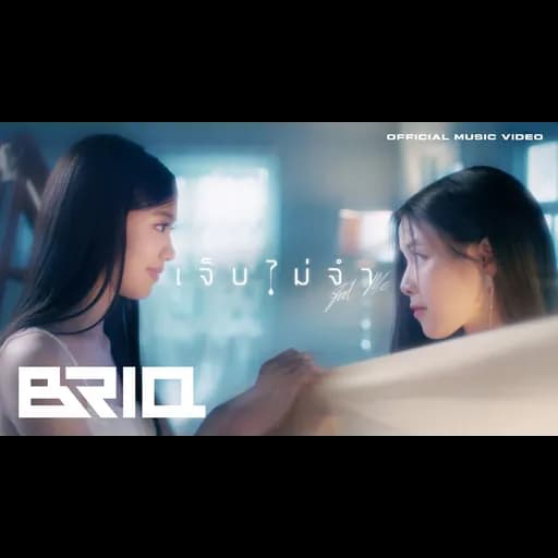 เจ็บไม่จำ (Fool me)