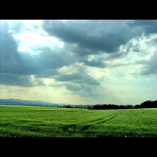 Green Fields