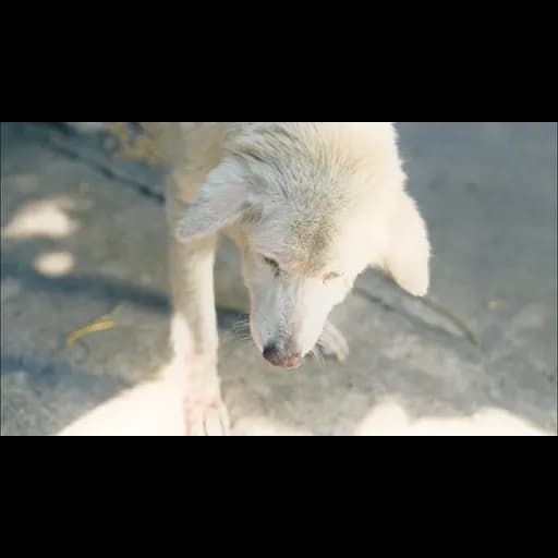 แค่เพียงขอ
