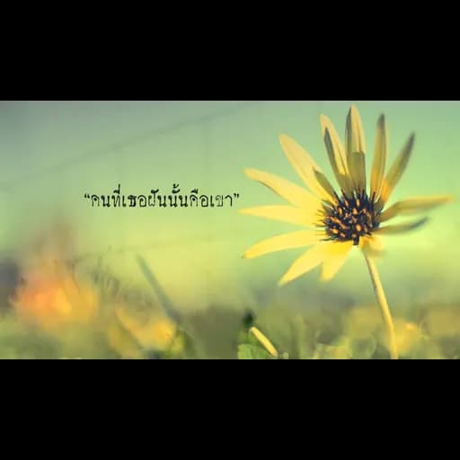 ดอกหญ้า