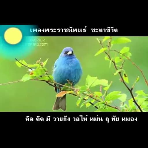ชะตาชีวิต