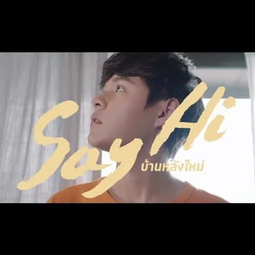 Say Hi