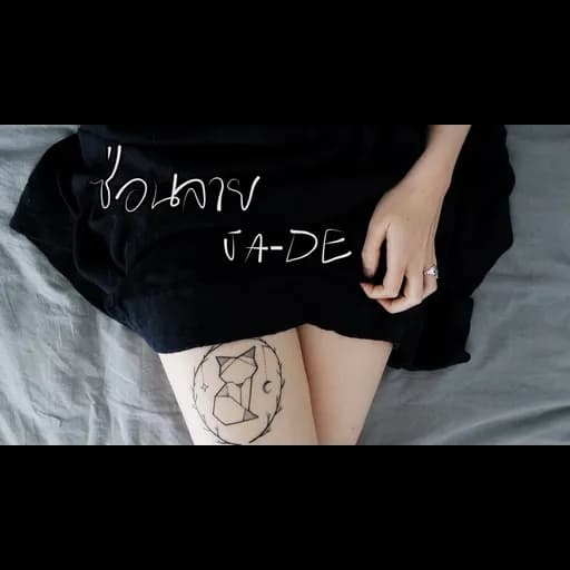 ซ่อนลาย