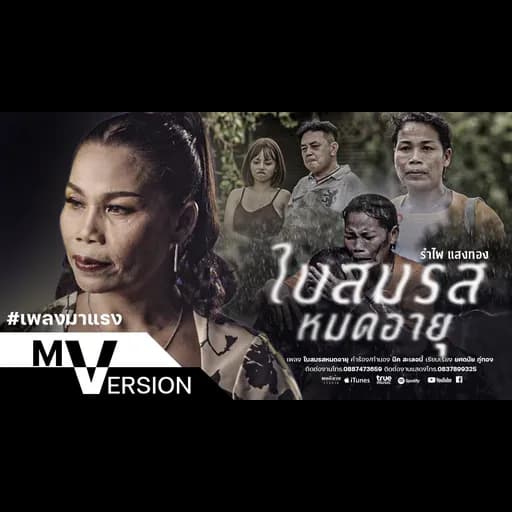ใบสมรสหมดอายุ