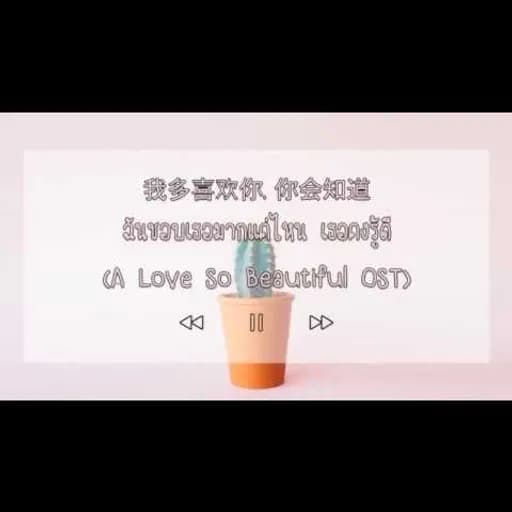 我多喜欢你, 你会知道 ฉันชอบเธอมากแค่ไหน เธอคงรู้ดี