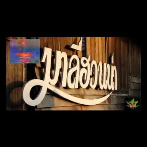 กระท่อมกัญชา