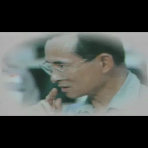 ต้นไม้ของพ่อ