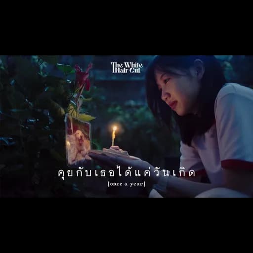 คุยกับเธอได้แค่วันเกิด (once a year)