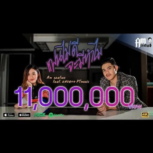 แฟนไม่ดีจะมีทำไม  ft. แสงดาว พิมมะศรี
