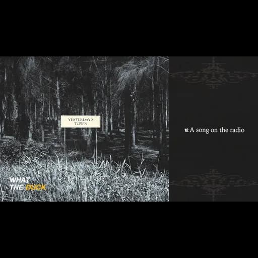 A song on the radio