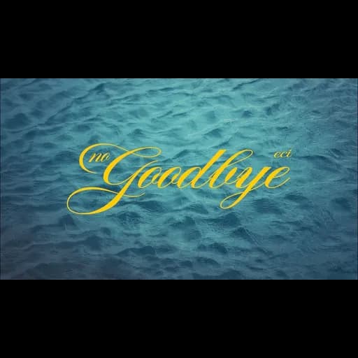No Goodbye