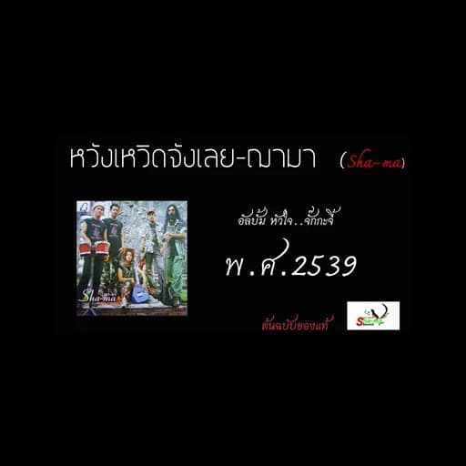 หวังเหวิดจังเลย