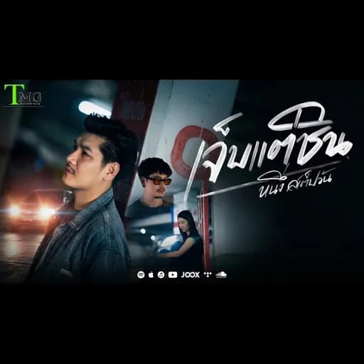 เจ็บแต่ชิน
