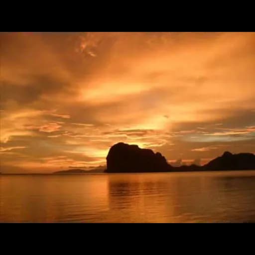 บินหลาบอง (Billabong)
