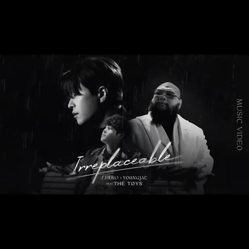 IRREPLACEABLE