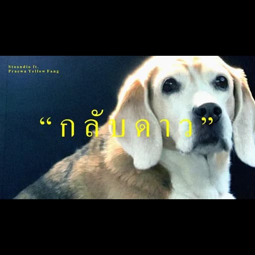 กลับดาว (I miss you.)