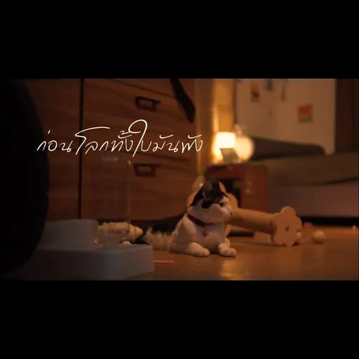 ก่อนที่โลกทั้งใบมันพัง