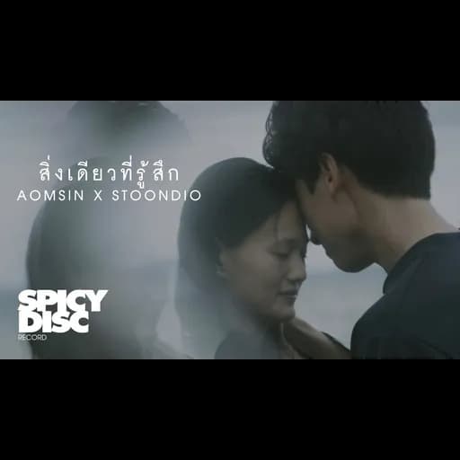 สิ่งเดียวที่รู้สึก (Embed)
