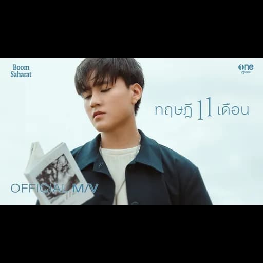 ทฤษฎี 11 เดือน