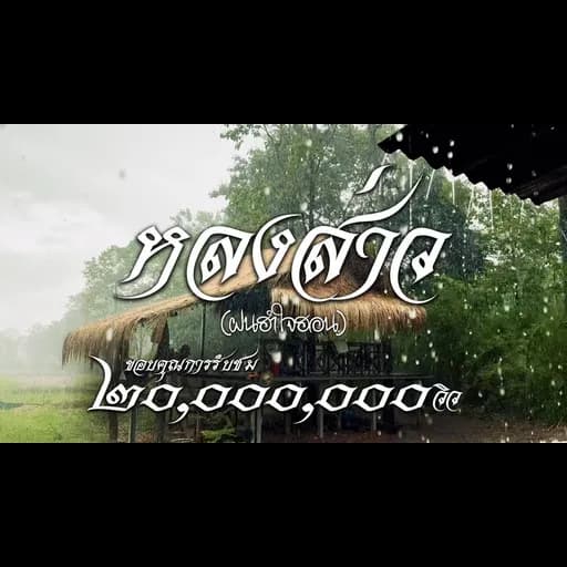 หลงส่าว(ฝนฮำใจฮอน)