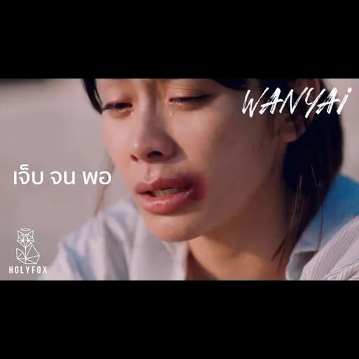 เจ็บจนพอ
