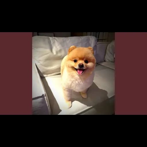 หนูก็รู้